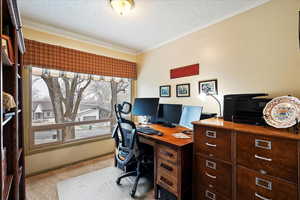 Carpeted office space featuring ornamental molding and a textured ceiling