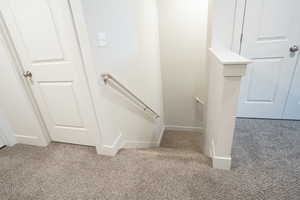 Staircase featuring carpet flooring