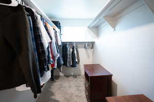 Spacious closet featuring light carpet