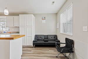 Living room with light hardwood / wood-style floors and a healthy amount of sunlight