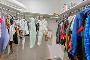 Walk in closet with hardwood / wood-style floors