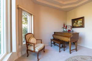 Living area with light carpet