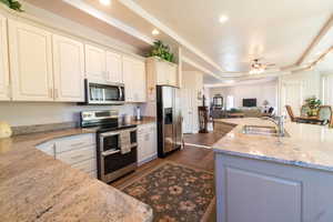 Kitchen featuring sink, light stone counters, a raised ceiling, ceiling fan, and stainless steel appliances