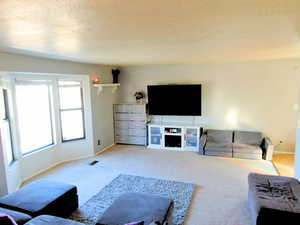 Living room featuring light colored carpet and a textured ceiling