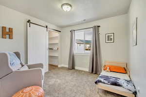 Sitting room with a barn door and light carpet