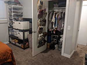 Walk in closet featuring carpet floors