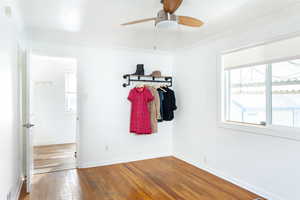 Bedroom with crown molding, wood-type flooring, and ceiling fan