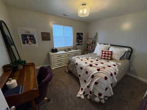 Bedroom with dark colored carpet