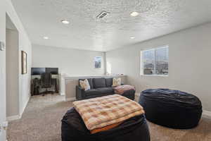 Carpeted living room with a textured ceiling