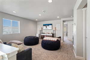 Living room featuring light colored carpet and a textured ceiling