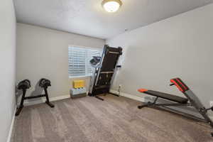 Workout room featuring carpet floors and a textured ceiling