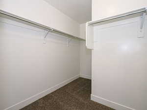 Spacious closet with dark colored carpet