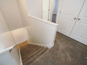 Stairway with carpet floors