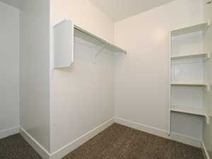 Spacious closet featuring dark colored carpet