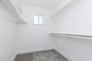 Spacious closet with carpet floors