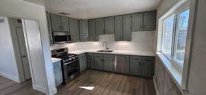 Kitchen featuring appliances with stainless steel finishes, sink, dark hardwood / wood-style floors, and plenty of natural light