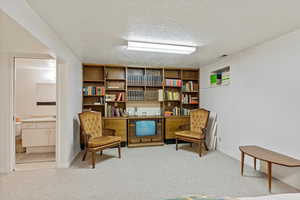 Living area featuring light colored carpet and a textured ceiling