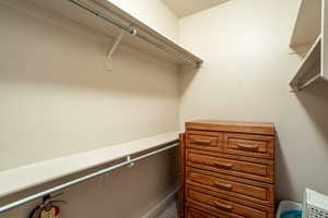 View of walk in closet