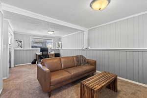 Carpeted living room featuring ornamental molding and a textured ceiling