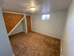 Basement featuring carpet floors