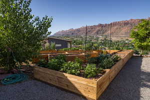 View of yard with a mountain view