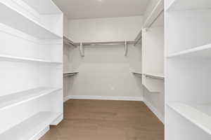 Spacious closet with hardwood / wood-style flooring