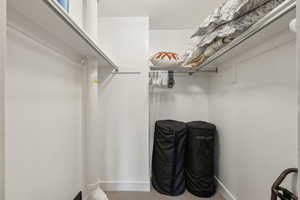 Walk in closet with carpet floors