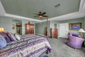 Carpeted bedroom with a raised ceiling and ceiling fan