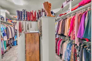 Walk in closet featuring light carpet