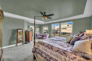 Carpeted bedroom featuring a tray ceiling