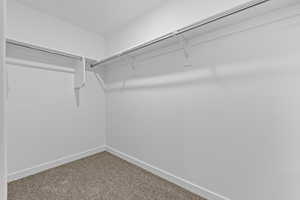 Spacious closet featuring carpet