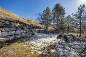 View of backyard