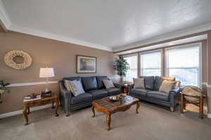 Carpeted living room with crown molding and a textured ceiling