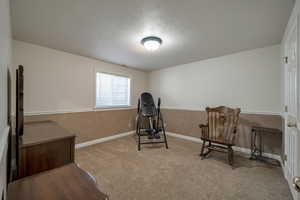 Exercise room featuring light carpet and a textured ceiling