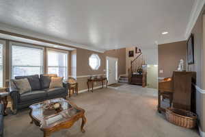 Living room with crown molding, light colored carpet, and a textured ceiling