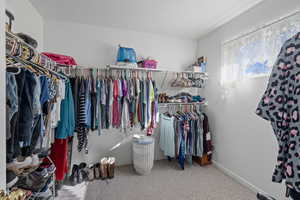 Spacious closet featuring carpet