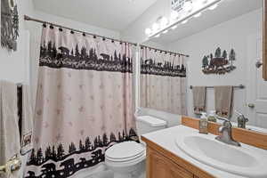 Bathroom with vanity, a shower with curtain, and toilet