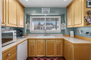 Kitchen featuring dishwasher and sink