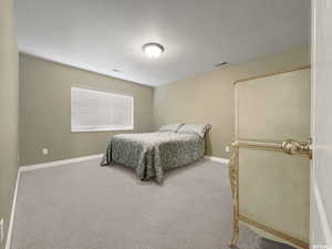 Bedroom featuring carpet