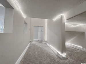 Hallway with carpet floors and a textured ceiling