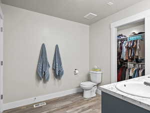 Bathroom with vanity, hardwood / wood-style flooring, and toilet