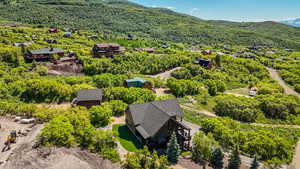 Bird's eye view of a mountainous background