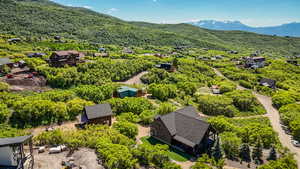Bird's eye view of a mountain backdrop