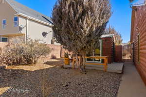 View of yard with a storage shed