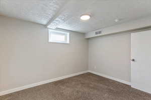 Basement featuring carpet floors and a textured ceiling