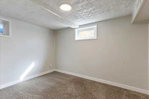 Basement with carpet and a textured ceiling