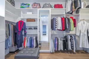 Spacious closet with hardwood / wood-style flooring