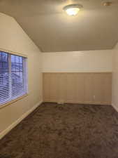 2nd Bedroom with Large Walk In Closet and Vaulted Ceiling