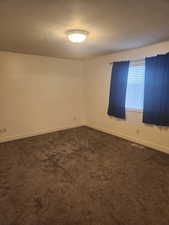 Primary Bedroom Vaulted ceilings