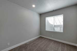 Unfurnished room with carpet and a textured ceiling